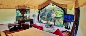 Horison Green Forest bandung Glamping